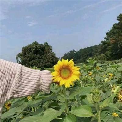 灵妖劫游戏(暂未上线)v1.0.0 安卓版